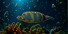 How to Dose Phytoplankton