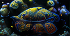 Best Copepods for Mandarin Fish